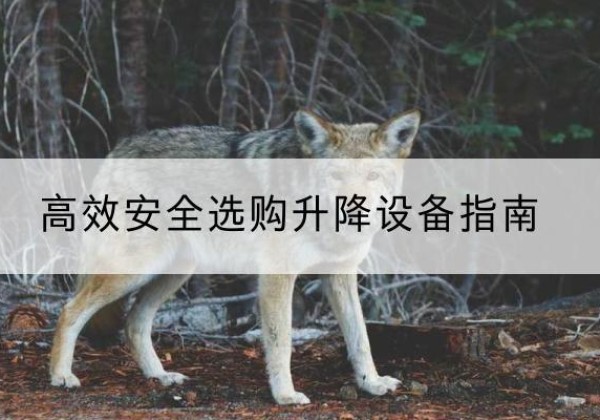 子洲升降货梯厂家推荐-*安全选购升降设备指南
