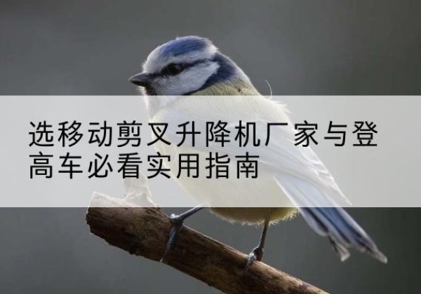 子洲电动升降机厂家-选移动剪叉升降机厂家与登高车必看实用指南