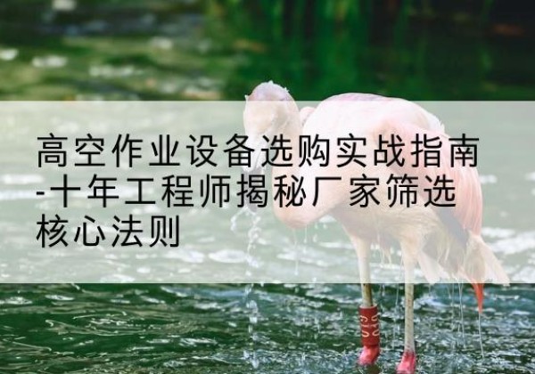 子洲剪叉式升降机厂家-高空作业设备选购实战指南-十年工程师揭秘厂家筛选核心法则